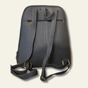 backpack the adventure wanderer. only 51$